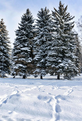 Similar image 18508505