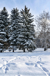 Similar image 18508515