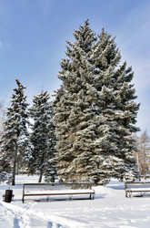 Similar image 18508519