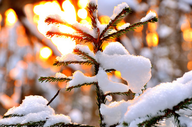 Similar image 18508425