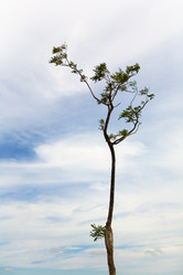 Similar image 18509652