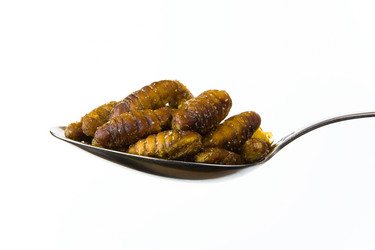 Similar image 18509659