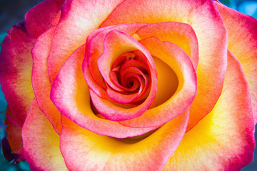 Similar image 18509626