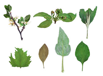 Similar image 18508793