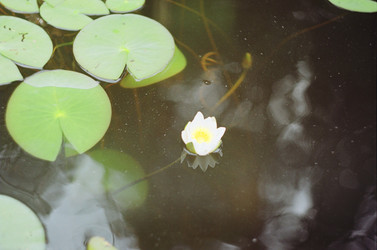 Similar image 18151826