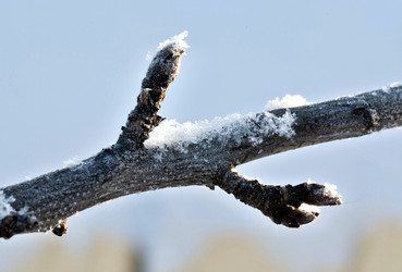 Similar image 18509073