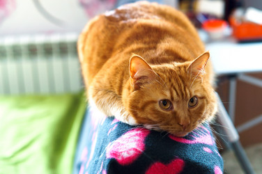 Similar image 18510539