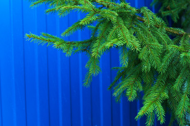 Similar image 18510542