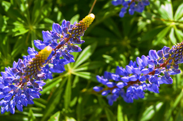 Similar image 18512414