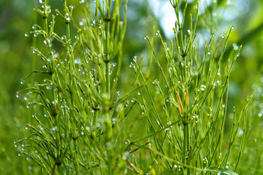 Similar image 18512415