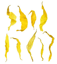 Similar image 18508796