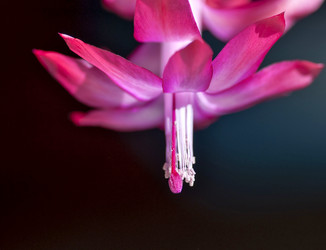 Similar image 18509036