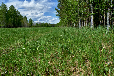 Similar image 18511741