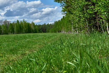 Similar image 18511742