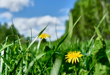 Similar image 18511743