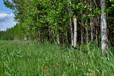 Similar image 18511745