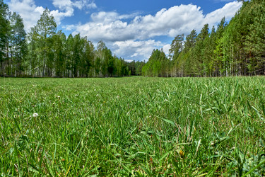 Similar image 18511747