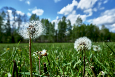 Similar image 18511748