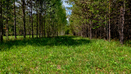 Similar image 18511749