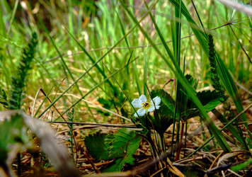 Similar image 18511686