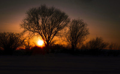 Similar image 18508244