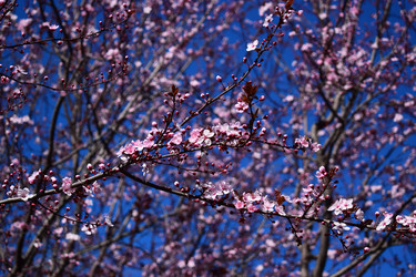 Similar image 18508261