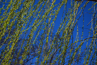 Similar image 18508264