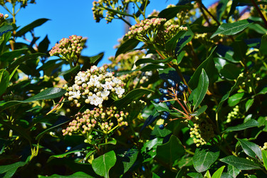 Similar image 18508265