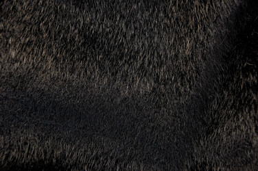 Similar image 18508433