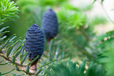 Similar image 18509538