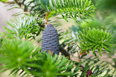 Similar image 18509540