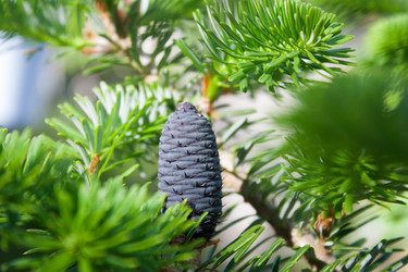 Similar image 18509541