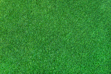 Similar image 18512758