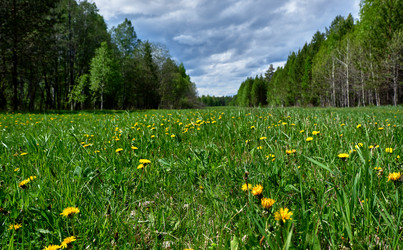 Similar image 18511688