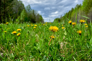 Similar image 18511689