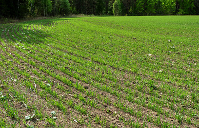 Similar image 18511690