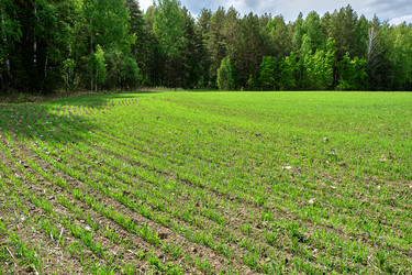 Similar image 18511691