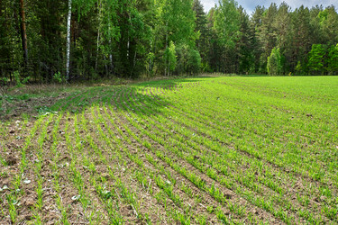 Similar image 18511692