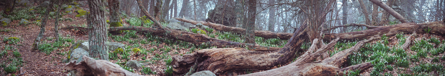 Similar image 18510379