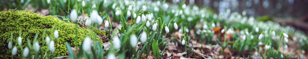 Similar image 18510380