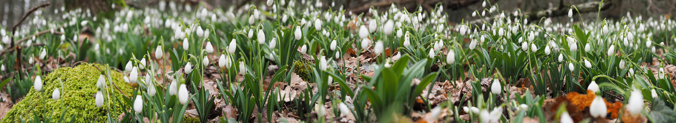 Similar image 18510381