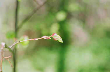 Similar image 18151833