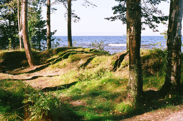 Similar image 18151834