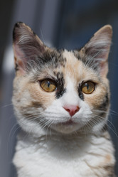 Similar image 18508345