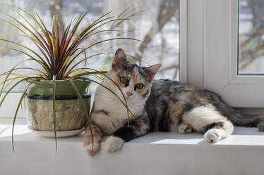 Similar image 18508346