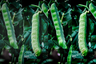 Similar image 18511699