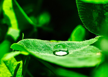 Similar image 18511700