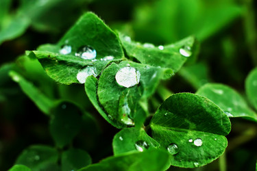 Similar image 18511702