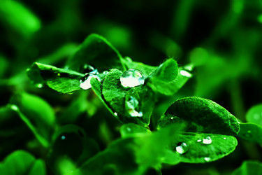 Similar image 18511703