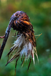 Similar image 18511704